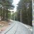 Pino de la Cadena (Valle de Siete Picos, Sierra de Guadarrama); tours a madrid material montaña ruta